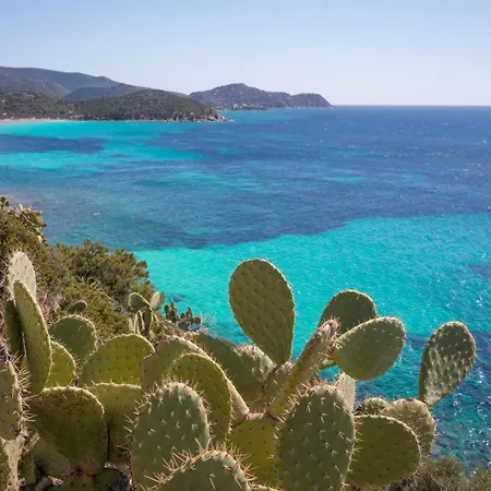 Daire Romantico - Terrazza - Marina - Centro Storico
